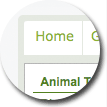 Green Slate Accent Theme - click to view full page