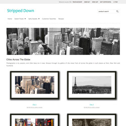 Stripped Down ShopSite Template
