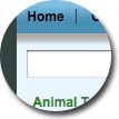 Blue/Green Thick Border Theme - click to view full page