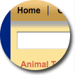Bold Thick Border Theme - click to view full page