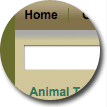 Brown/Green Thick Border Theme - click to view full page