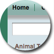 Mint Green Thick Border Theme - click to view full page