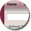 Pink Thick Border Theme - click to view full page