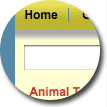 Primary Thick Border Theme - click to view full page