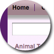 Purple Thick Border Theme - click to view full page