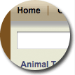 Tan/Blue Thick Border Theme - click to view full page